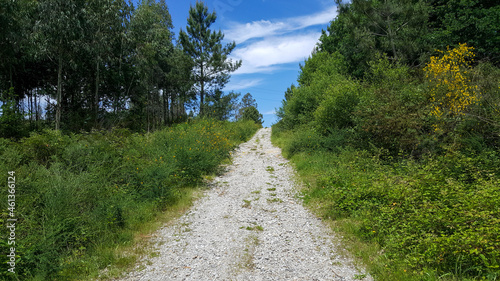 road in the mountains