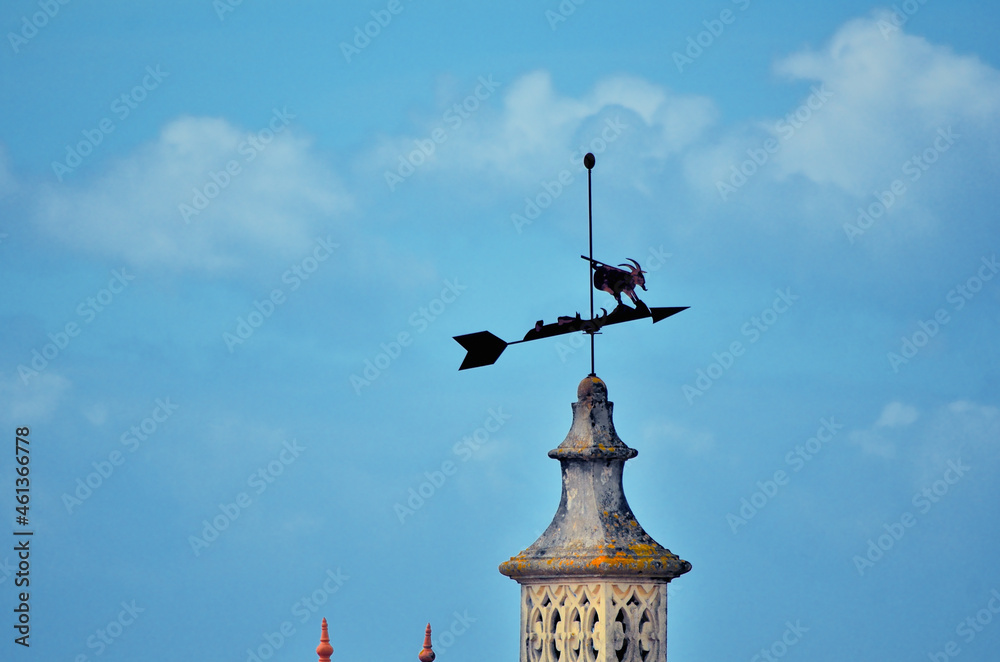 Sharp Arrow Pointed Weather Vane with a Goat Figurine on a Top of a House Chimney against the Cloudy Sky