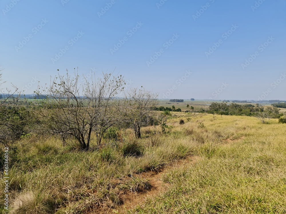 fazenda para pecuária