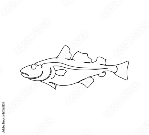 River perch, sea bass continuous line drawing. One line art of freshwater fish, predatory fish, seafood, marine animals.