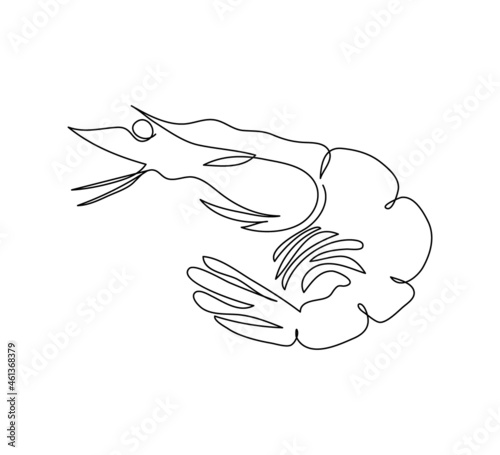 Shrimp, crustacean, caridea continuous line drawing. One line art of fish, arthropods, seafood.