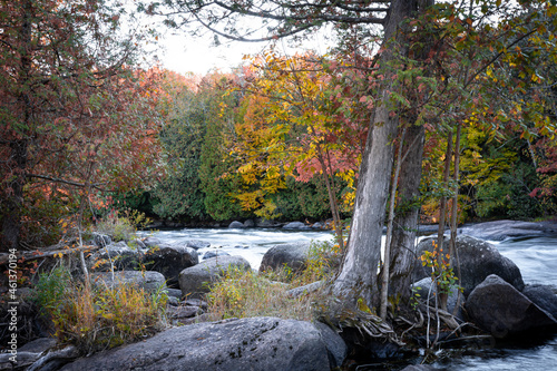 Wolf River