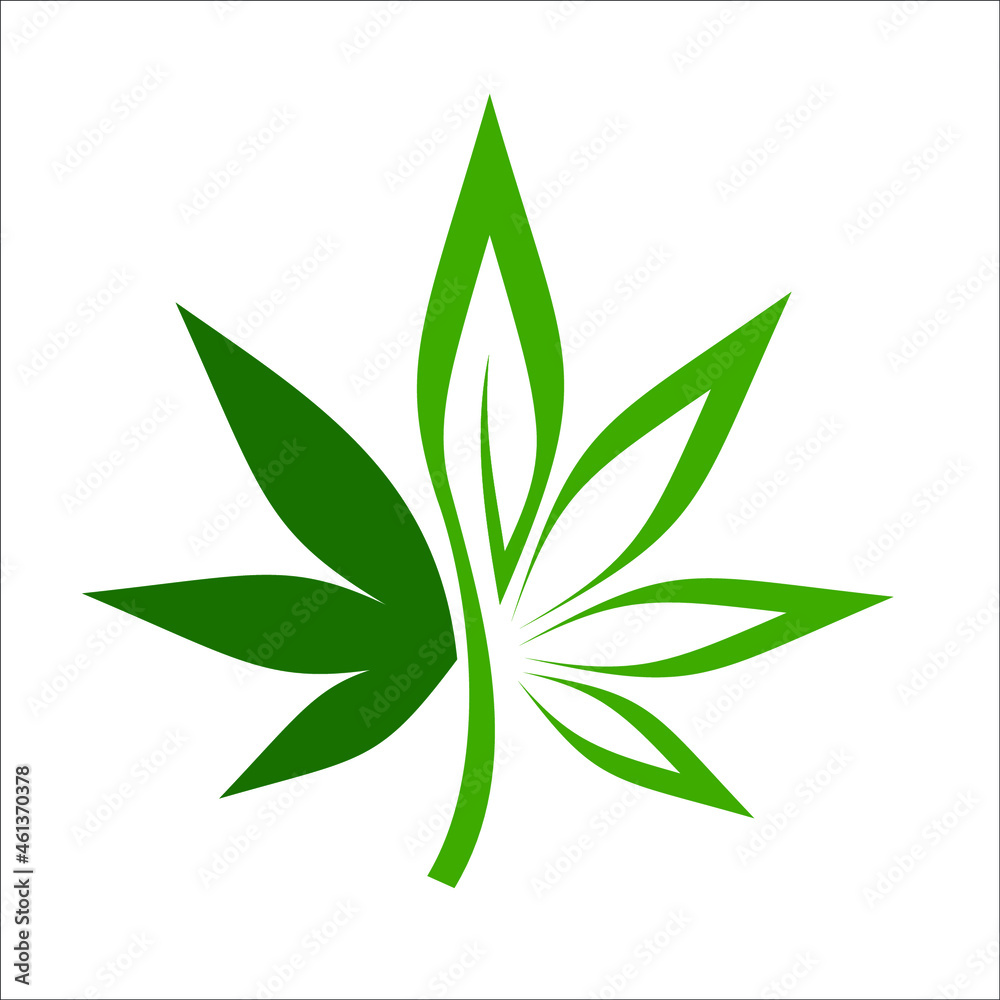 marijuana and cannabis leaf marijuana and cannabis leaf