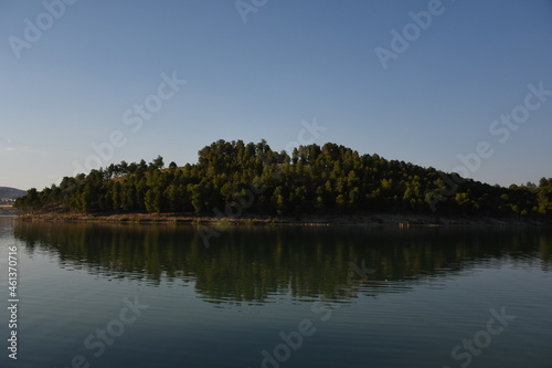 reflection of trees on lake