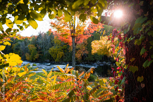 Wolf River