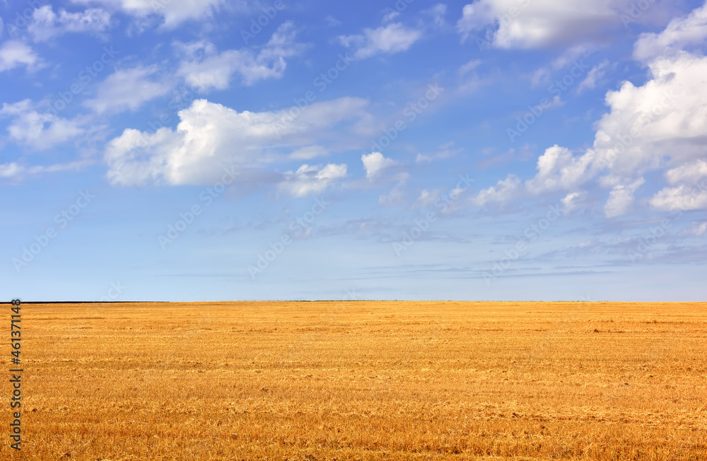 A rural field under a blue sky