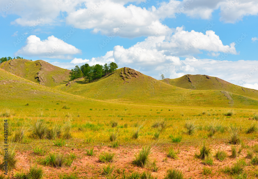 Yellow hills of Khakassia