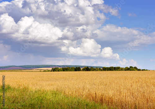 Cloudy skies over a rural field