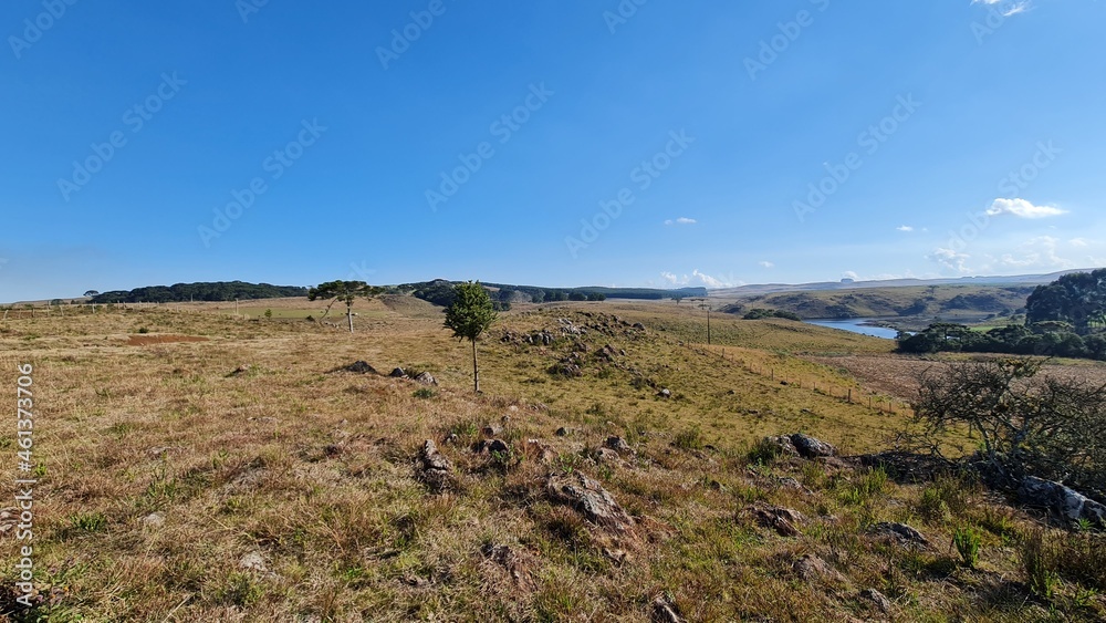 fazenda para pecuária nas montanhas