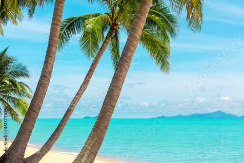 Tropical beach landscape  exotic island view  turquoise sea water  ocean wave  green palm tree leaves  yellow sand  blue sunny sky  white clouds  beautiful nature  summer holidays  vacation  travel