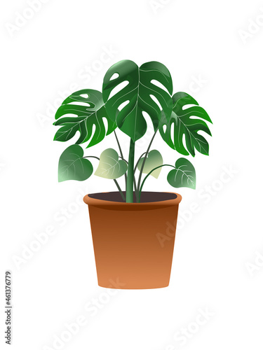 Drawing potted plant  houseplant on a white background.