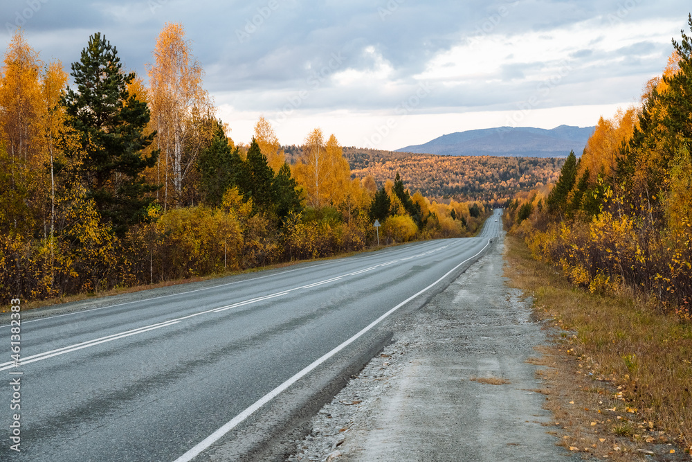 Panoramic view of the long straight road towards the mountains through the autumn forest. Travel to the mountains, family vacation, outing to nature in autumn, climbing and walking through the forest Panoramic view of the long straight road towards the mountains through the autumn forest. Travel to the mountains, family vacation, outing to nature in autumn, climbing and walking through the forest