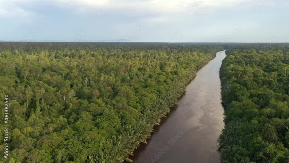 Beautiful natural scenery of river in southeast Asia tropical green forest, drone aerial view Beautiful natural scenery of river in southeast Asia tropical green forest, drone aerial view