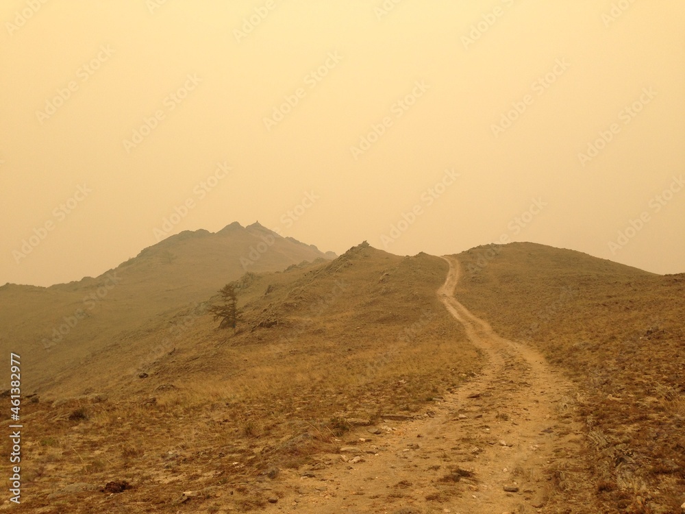 Fototapeta premium road in desert