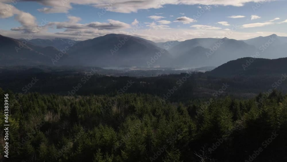 Aerial movement between two trees with the Columbia Gorge and forest in the background Aerial movement between two trees with the Columbia Gorge and forest in the background