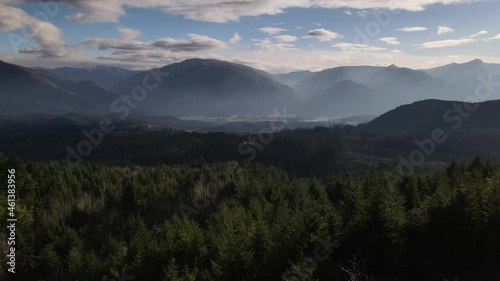 Aerial movement between two trees with the Columbia Gorge and forest in the background photo