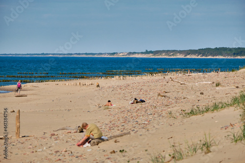 Fototapeta Naklejka Na Ścianę i Meble -  Sand dunes of the russian part Curonian Spit. Kaliningrad region, Russia
