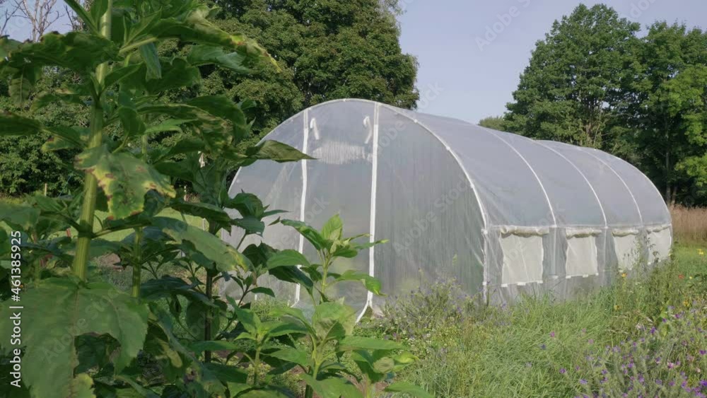 Cultivation tunnel greenhouse growing organic food Cultivation tunnel greenhouse growing organic food