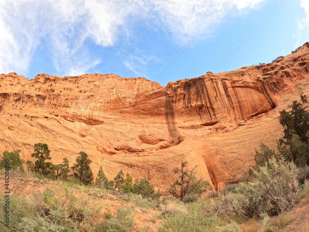 Multicolored Canyon Wall
