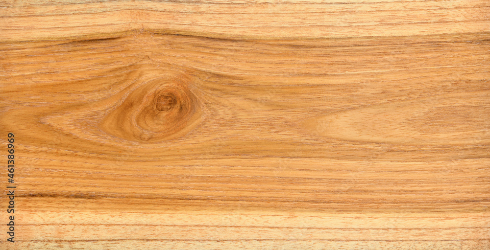 Obraz premium Close-up natural teak (Tectona grandis) wood with gnarl texture background.