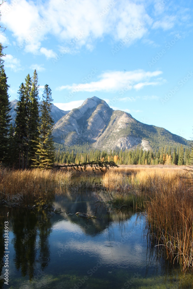 Mountain Meets Wetlands, Banff National Park, Alberta