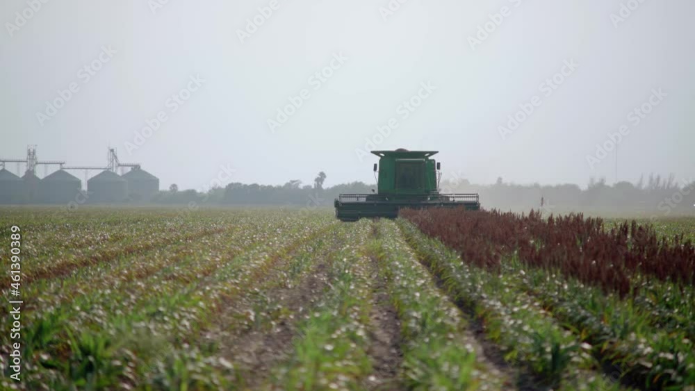 Thresher, or threshing machine, works a farm field, silos in back, wide shot