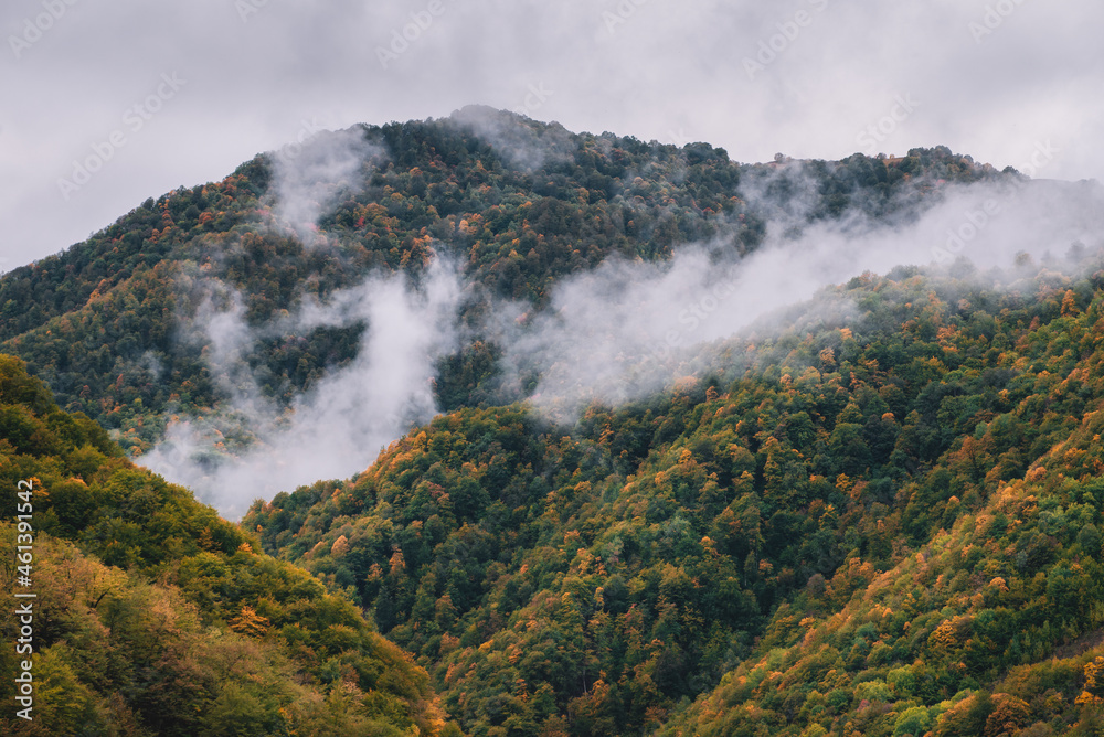 Autumn forest on the foggy mountain slope