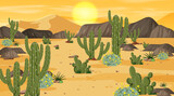 Desert forest landscape scene at sunset time