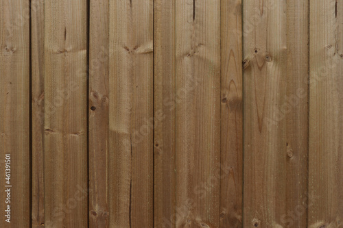 wooden pine fence palings abstract background