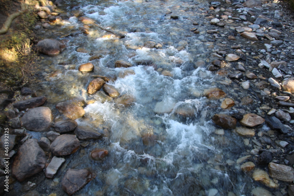 Flow Of The Creek, Banff National Park, Alberta Flow Of The Creek, Banff National Park, Alberta