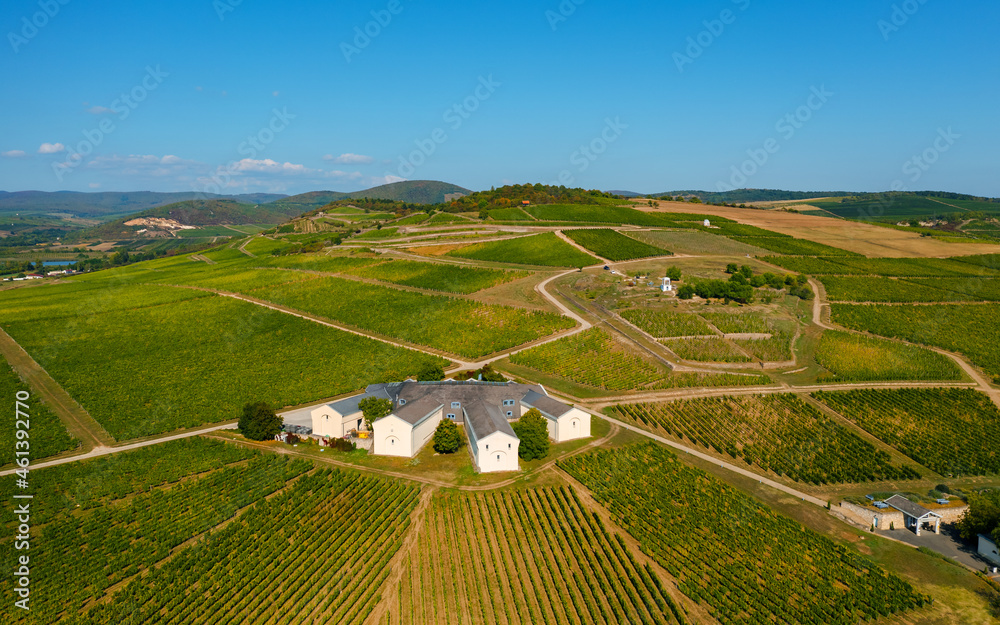 Easy Ways to Make Wine Sweeter 2024 AtOnce