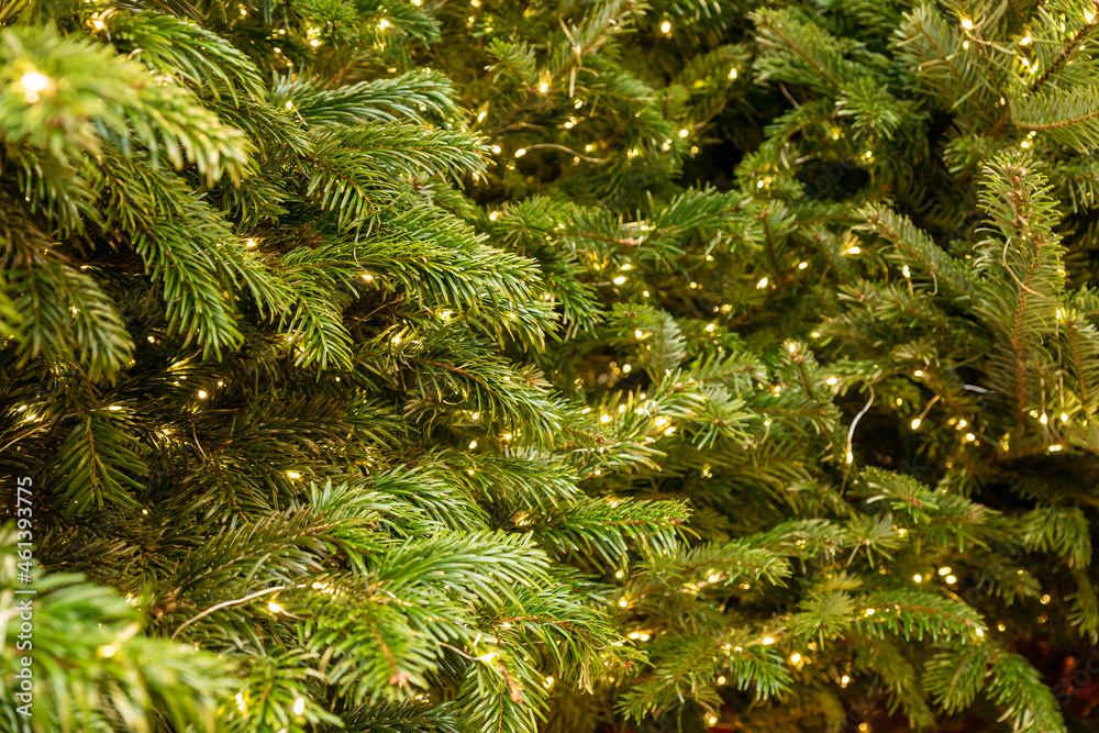 Festive christmas tree with garlad. New year decoration. Festive christmas tree with garlad. New year decoration.