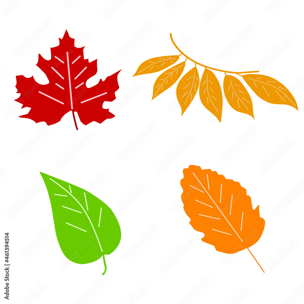 vector autumn leaves in flat graphics and cartoon style and on a white background. bright leaves botanical illustration leaves vector autumn leaves in flat graphics and cartoon style and on a white background. bright leaves botanical illustration leaves