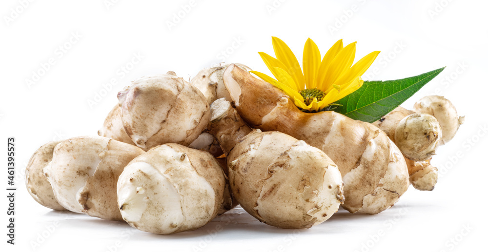 Jerusalem artichoke roots with leaves and flower of Jerusalem artichoke isolated on white background.