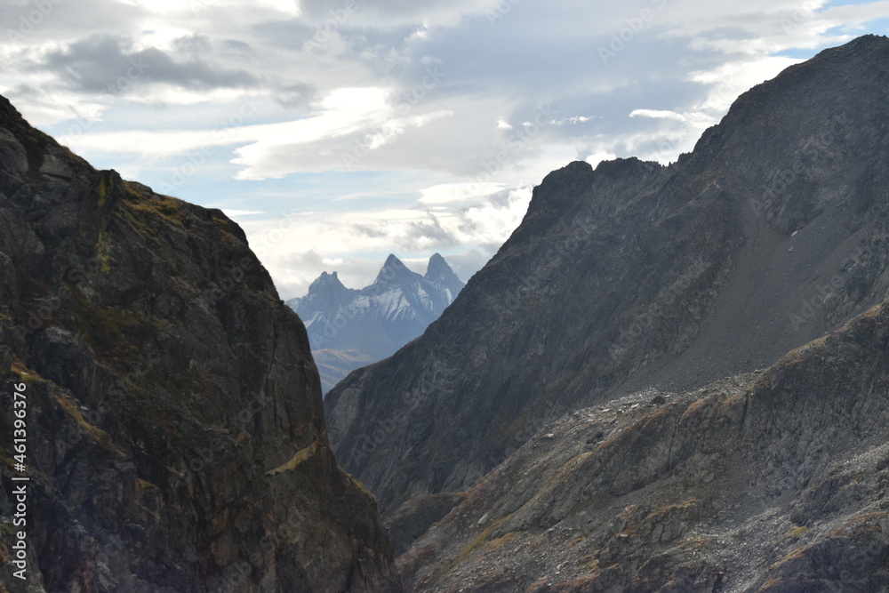 Fototapeta premium aiguilles d'arve