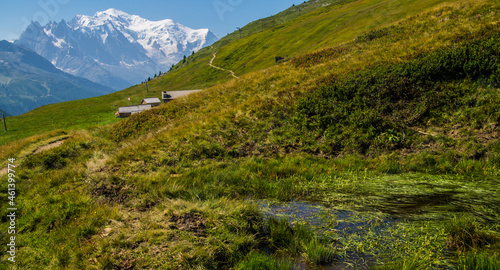 Green slope of mountains in Chamonix in Haute Savoie in France photo