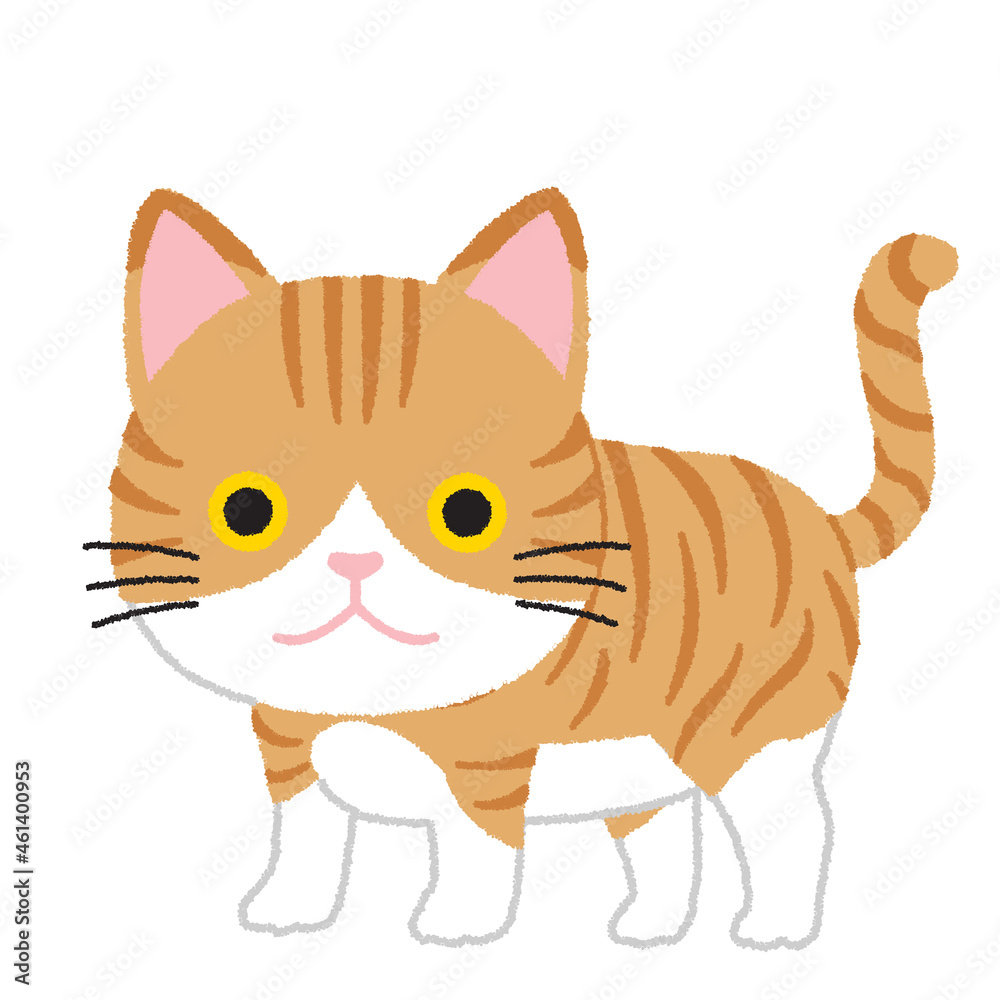 Obraz premium ネコのイラスト