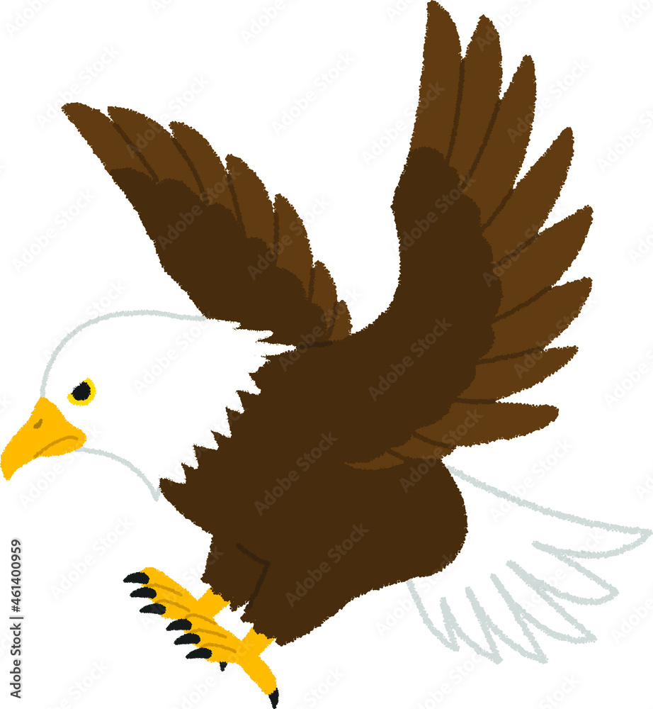 イーグル 鷲 のイラスト Stock 벡터 Adobe Stock