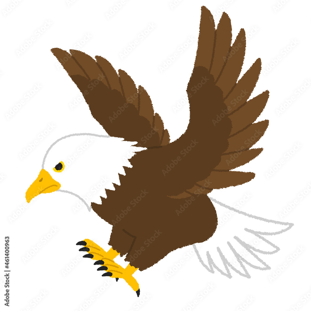 Obraz premium イーグル(鷲)のイラスト