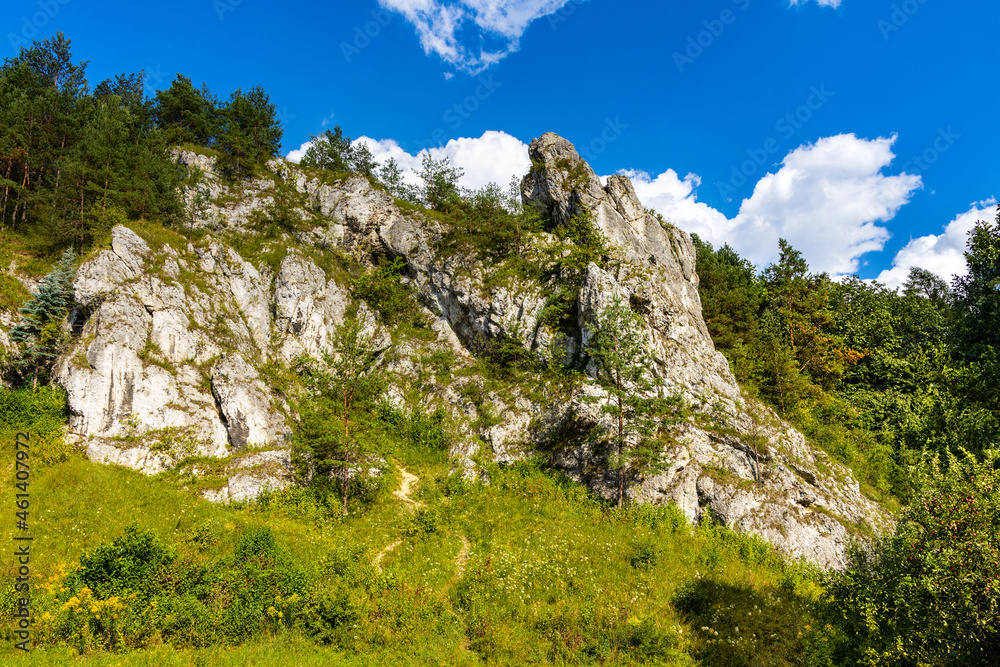 Grupa Zabiego Konia limestone rock massif with Mnich rock in Kobylanska Valley within Jura Krakowsko-Czestochowska upland near Cracow in Lesser Poland