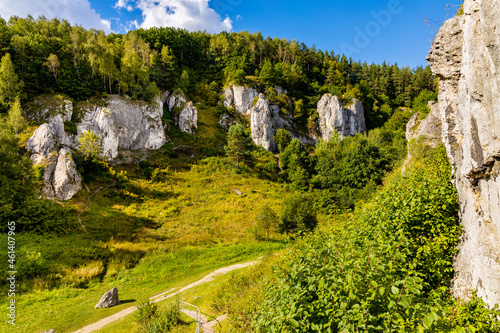 Fototapeta Naklejka Na Ścianę i Meble -  Turnia Marcinkiewicza, Garaz, Mala Plyta and other limestone rocks in Kobylanska Valley within Jura Krakowsko-Czestochowska upland near Cracow in Lesser Poland