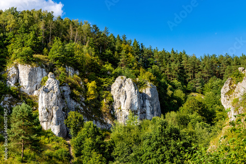 Turnia Marcinkiewicza, Garaz, Mala Plyta and other limestone rocks in Kobylanska Valley within Jura Krakowsko-Czestochowska upland near Cracow in Lesser Poland