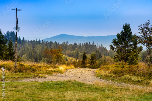 Fototapeta Naklejka Na Ścianę i Meble -  Panoramic view of Beskidy Mountains towards Babia Gora seen from Potrojna peak in Little Beskids in Lesser Poland