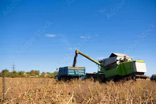 Harvester in a field for harvesting in autumn.