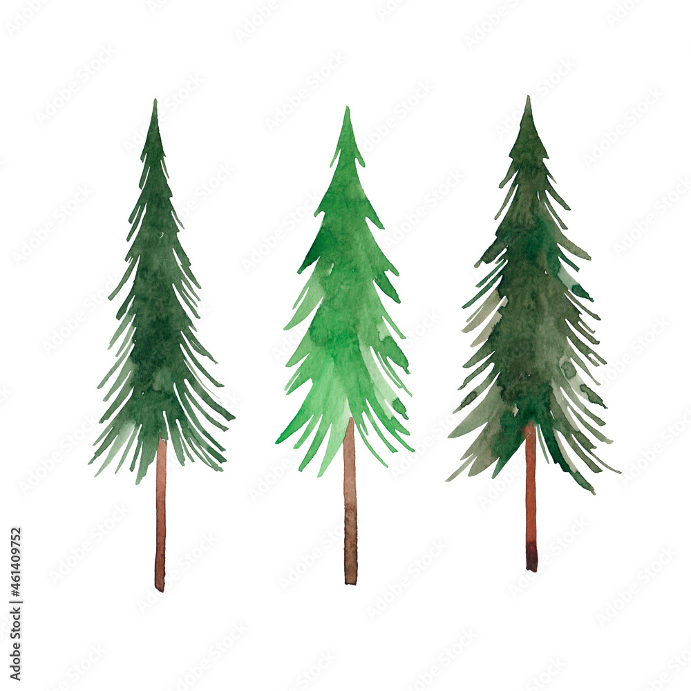 Fototapeta premium Watercolor pine set. Christmas trees clipart. Spruce. Coniferous forest. Isolated on a white background.