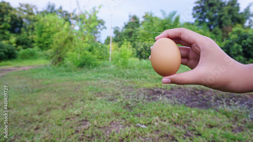 In hand, one egg is prepared for the dinner menu.