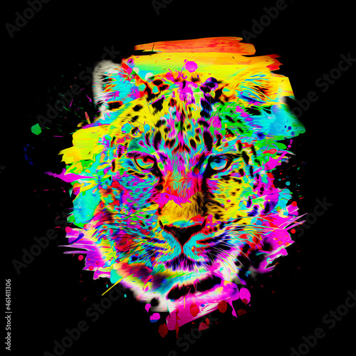 tiger head illustration color art photo