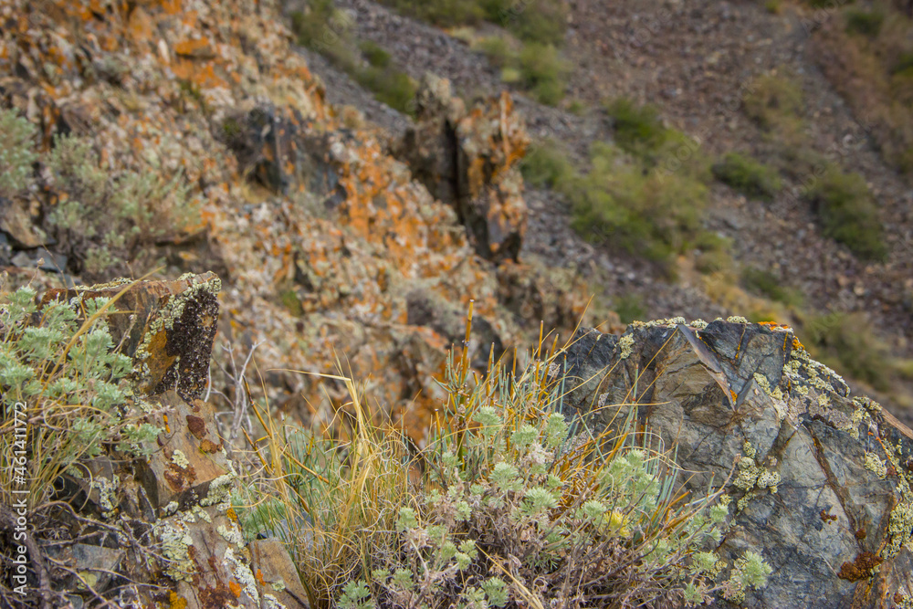 Close up image of rocky grassy mountains in Summer