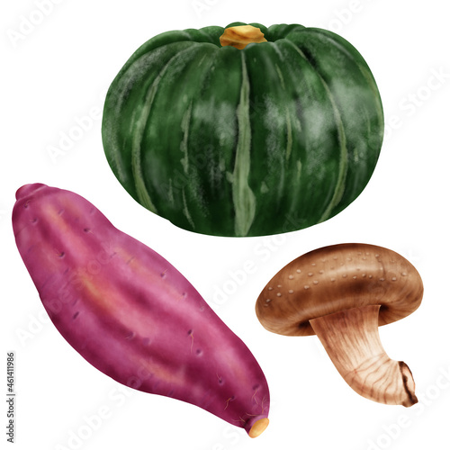 水彩イラスト 野菜 秋の味覚セット