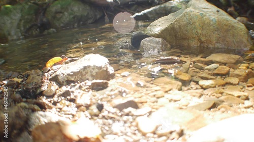 River running through forest and mountain in Japan. photo